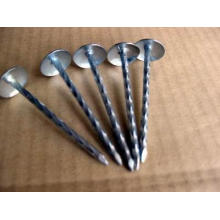 Umbrella Head of All Sizes Roofing Nail on Sale